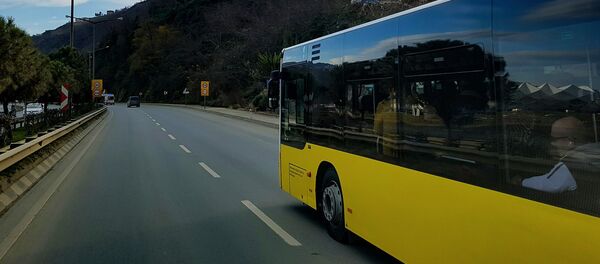 Un autobús (archivo) - Sputnik Mundo