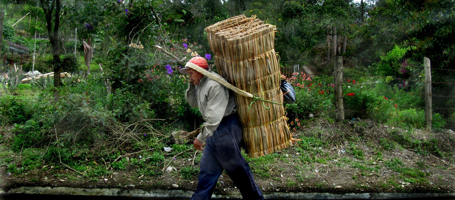Un campesino colombiano - Sputnik Mundo, 1920, 26.06.2020