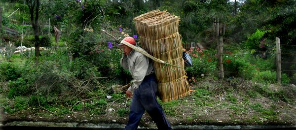 Un campesino colombiano - Sputnik Mundo