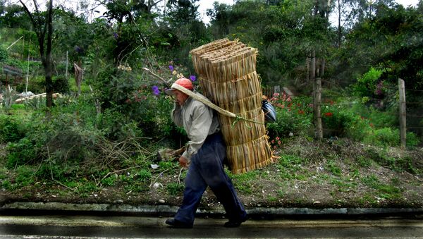 Un campesino colombiano - Sputnik Mundo