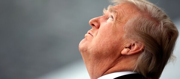 Donald Trump, presidente de Estados Unidos (archivo) Donald Trump, presidente de Estados Unidos (archivo) - Sputnik Mundo