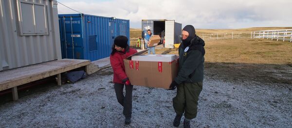 La exhumación de los restos de soldados argentinos en las islas Malvinas - Sputnik Mundo