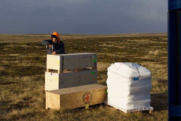 La exhumación de los restos de soldados argentinos en las islas Malvinas - Sputnik Mundo