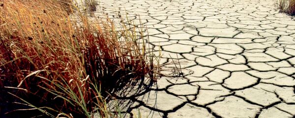 Sequía (imagen referencial) - Sputnik Mundo