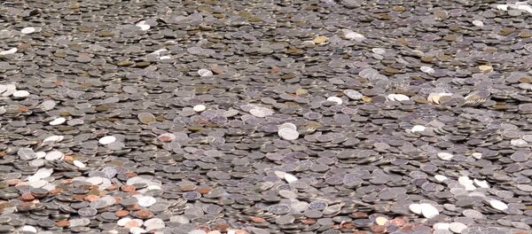 Las monedas de won surcoreano (imagen referencial) - Sputnik Mundo