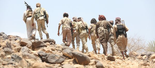 Los combatientes leales al presidente legítimo Abdo Rabu Mansur Hadi en Yemen (archivo) - Sputnik Mundo