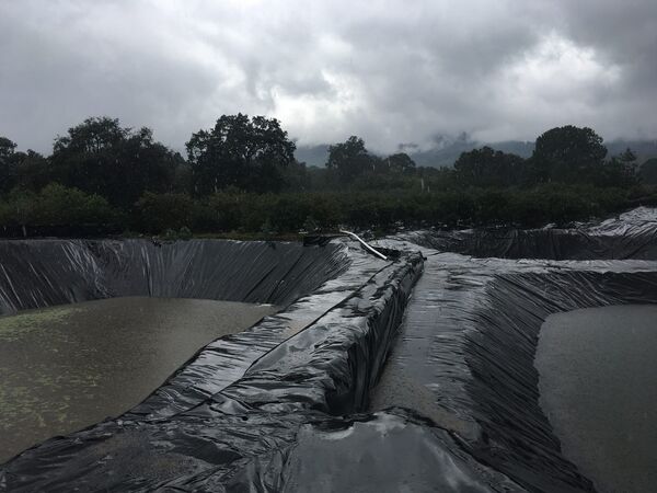 Las bodegas de lluvia desarrolladas por Luis Cisneros Torres Las bodegas de lluvia desarrolladas por Luis Cisneros Torres - Sputnik Mundo