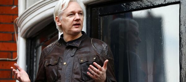 Julian Assange, fundador de Wikileaks, en la embajada de Ecuador en Londres - Sputnik Mundo