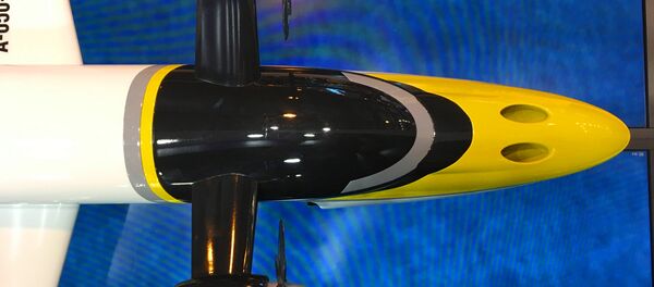 Un modelo a escala del ekranoplano ruso Chaika Un modelo a escala del ekranoplano ruso Chaika - Sputnik Mundo