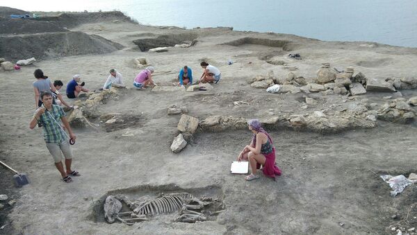 Excavaciones cerca de Kerch, Crimea - Sputnik Mundo