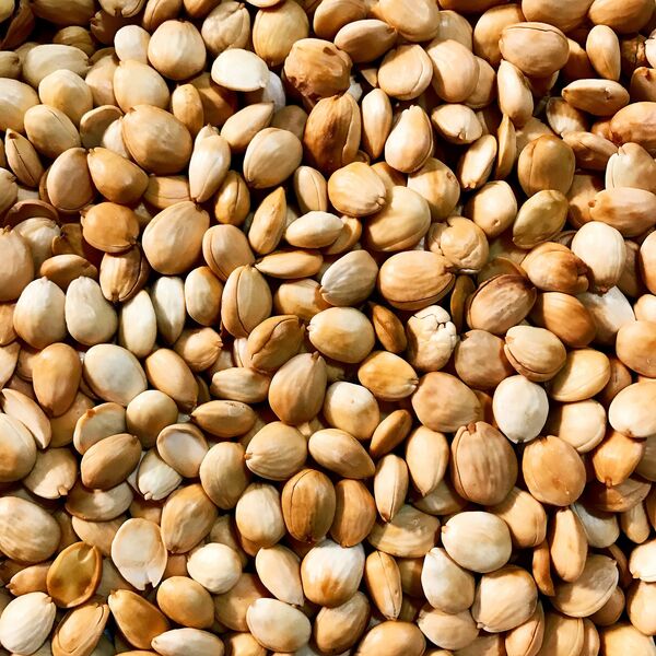 Almendras - Sputnik Mundo