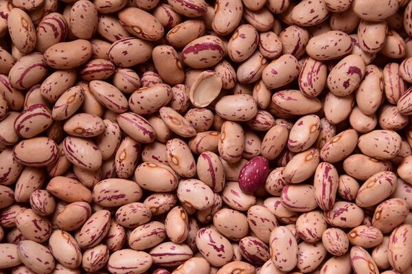 Judías - Sputnik Mundo