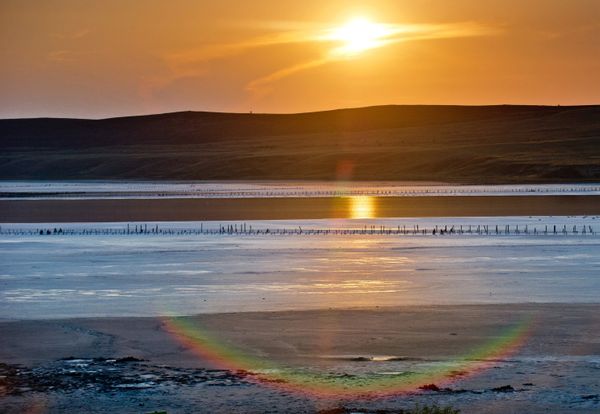 El lago Chokrak: así es el lodo curativo de Crimea - Sputnik Mundo