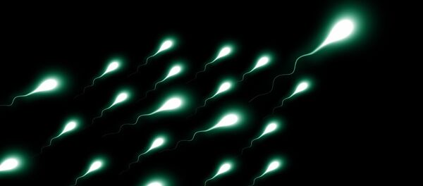 Espermatozoides (ilustración) - Sputnik Mundo