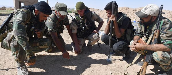 Combatientes sirios al este de Palmira - Sputnik Mundo
