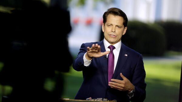 Anthony Scaramucci exdirector de comunicaciones de la Casa Blanca (archivo) - Sputnik Mundo