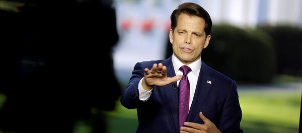 Anthony Scaramucci exdirector de comunicaciones de la Casa Blanca (archivo) - Sputnik Mundo