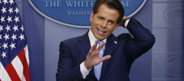 Anthony Scaramucci, exdirector de comunicaciones de la Casa Blanca (archivo) - Sputnik Mundo