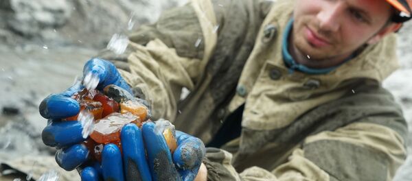 La tierra de la 'piedra de miel' rusa: la extracción de ámbar en Kaliningrado La tierra de la 'piedra de miel' rusa: la extracción de ámbar en Kaliningrado - Sputnik Mundo