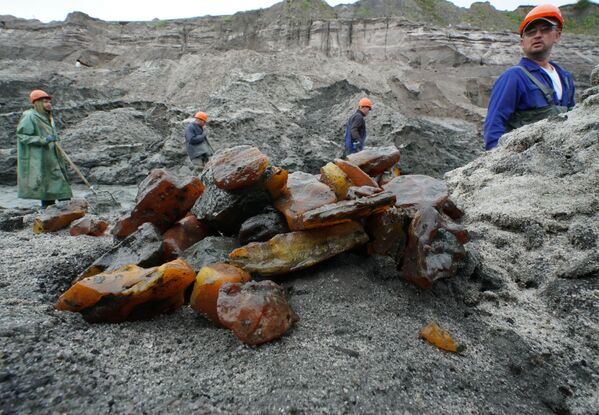 La tierra de la 'piedra de miel' rusa: la extracción de ámbar en Kaliningrado - Sputnik Mundo