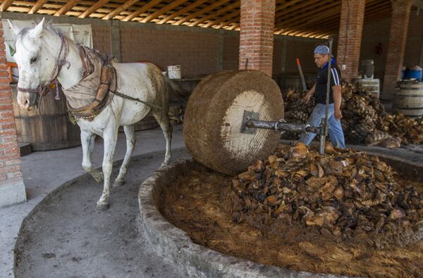 La molienda de agave - Sputnik Mundo
