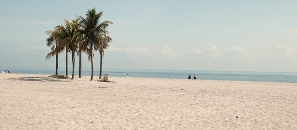 Playa en Miami, Florida - Sputnik Mundo