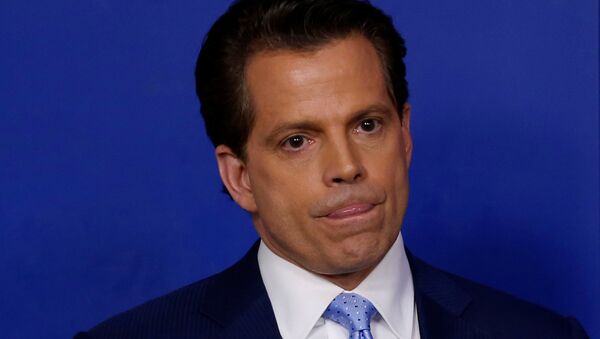 Anthony Scaramucci, exdirector de comunicaciones de la Casa Blanca (archivo) - Sputnik Mundo