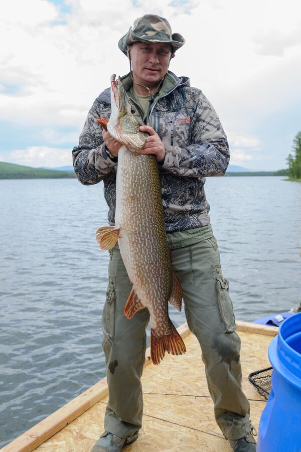 Vladímir Putin sostiene un lucio de 20 kilogramos pescado por él (20 de julio de 2013) - Sputnik Mundo