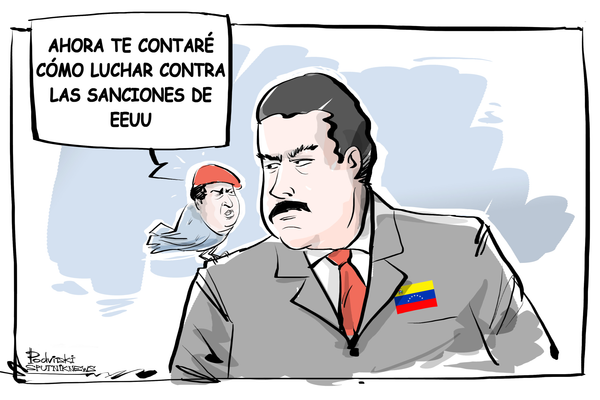 Consejos de un pajarito a Venezuela Consejos de un pajarito a Venezuela - Sputnik Mundo