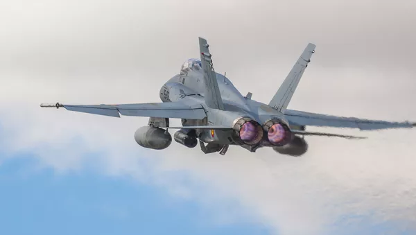 Caza F-18 de fabricación estadounidense (imagen referencial) - Sputnik Mundo