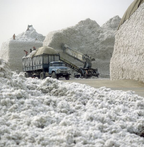 La cosecha del algodón en Tayikistán en el período soviético (archivo) - Sputnik Mundo