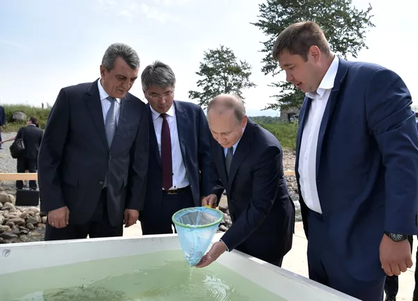Ómul y té de mosqueta: la visita de Putin al lago Baikal Ómul y té de mosqueta: la visita de Putin al lago Baikal - Sputnik Mundo