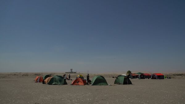 Proyecto de Bienalsur en la frontera entre Chile y Perú - Sputnik Mundo