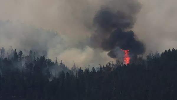 Incendios forestales en Canadá