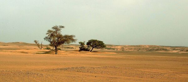 Sahara - Sputnik Mundo