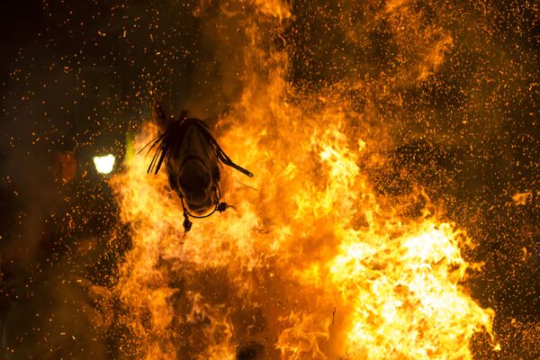 ¡No te pierdas a los ganadores del Concurso de Fotoperiodismo Andréi Stenin! - Sputnik Mundo