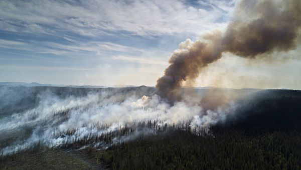 Incendios forestales en Lejano Oriente Incendios forestales en Lejano Oriente - Sputnik Mundo