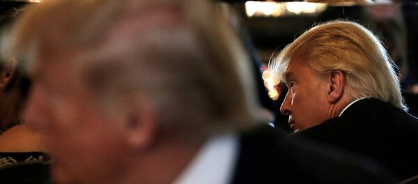 Donald Trump, presidente de EEUU - Sputnik Mundo