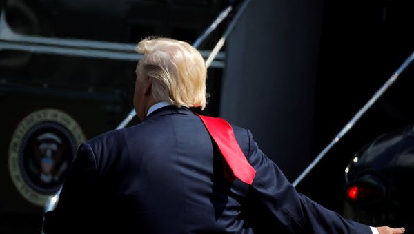 Donald Trump, presidente de EEUU Donald Trump, presidente de EEUU - Sputnik Mundo