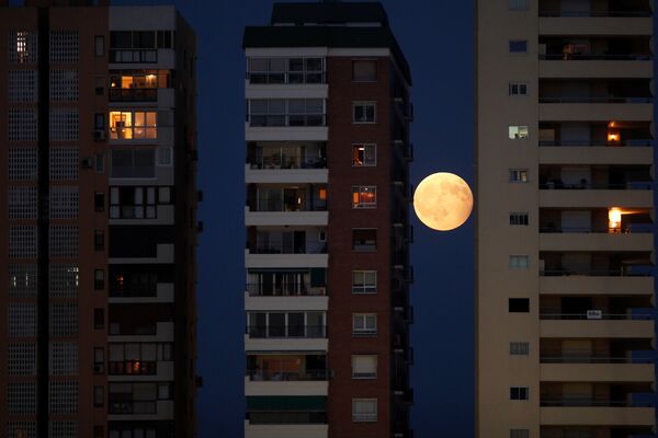 Un fenómeno planetario: las mejores fotos de la 'Luna de sangre' - Sputnik Mundo