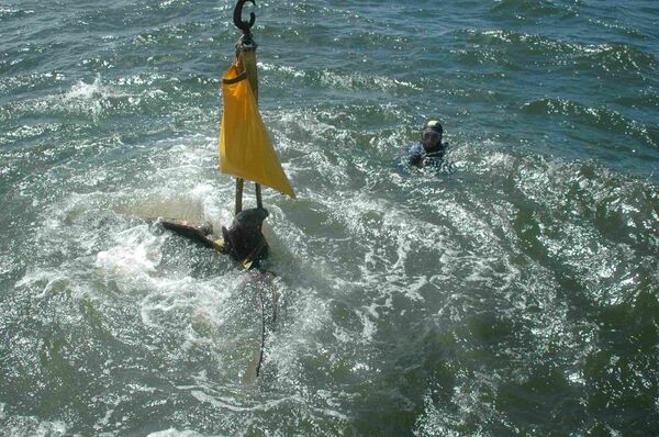 Rescate del águila nazi del buque Graf Spee Rescate del águila nazi del buque Graf Spee - Sputnik Mundo