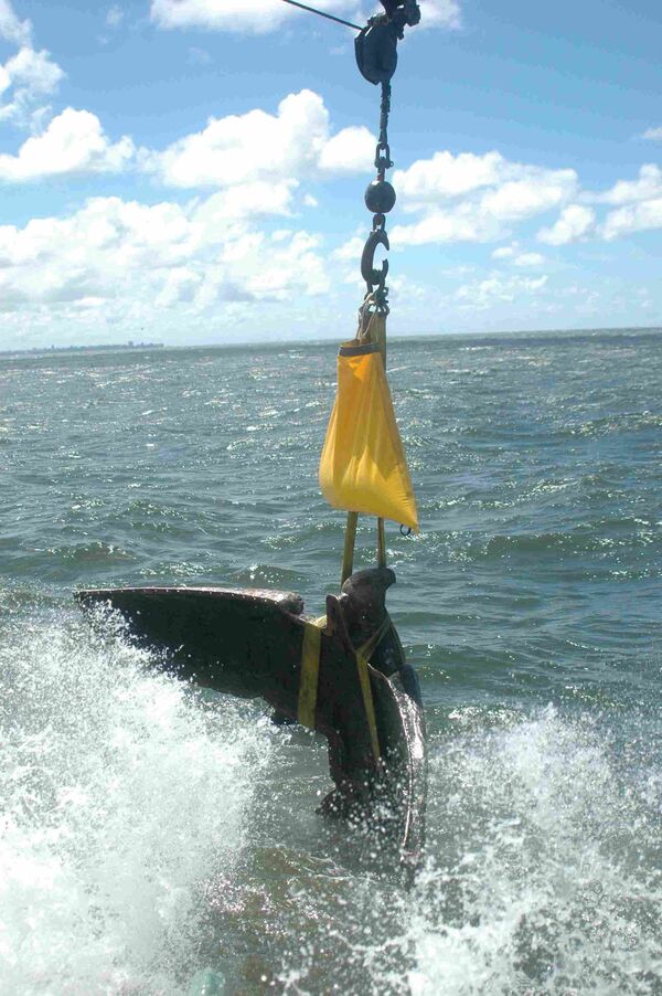 Rescate del águila nazi del buque Graf Spee Rescate del águila nazi del buque Graf Spee - Sputnik Mundo