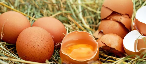 Huevo de gallina - Sputnik Mundo