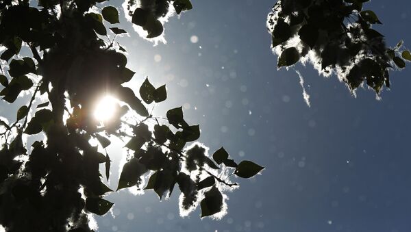 El álamo - Sputnik Mundo