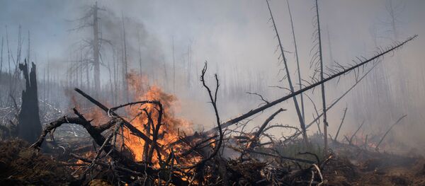 Incendios forestales en el Lejano Oriente ruso (archivo) - Sputnik Mundo
