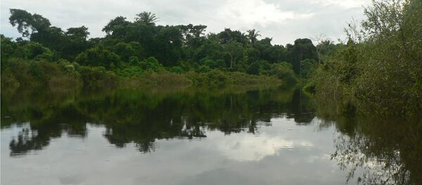 El Río Ibare en Beni, Bolivia (archivo) - Sputnik Mundo