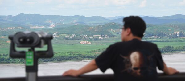 Un hombre en el punto de observación de Corea del Norte en Corea del Sur - Sputnik Mundo