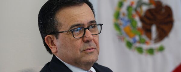 Ildefonso Guajardo, el secretario de Economía de México - Sputnik Mundo