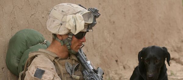 Un soldado estadounidense - Sputnik Mundo