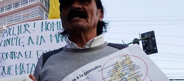 Protestas contra la construcción de una carretera - Sputnik Mundo